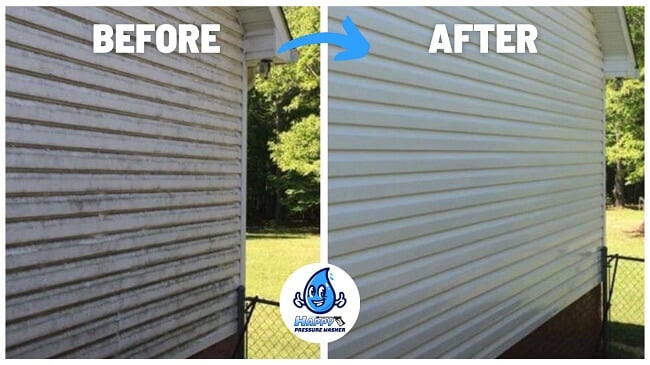 Algae and Mildew Removal