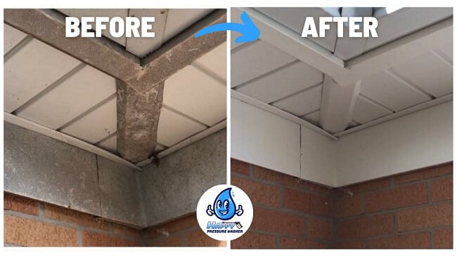 Cobweb and Dirt Dauber Cleaning