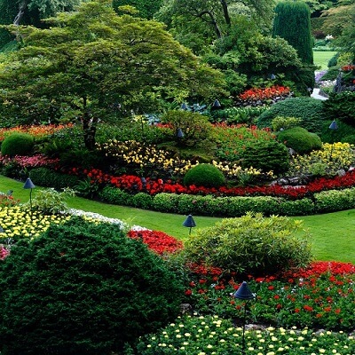 Will soft washing damage my landscaping or harm the environment?