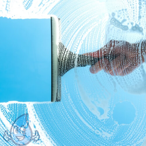 How often should I have my windows professionally cleaned?