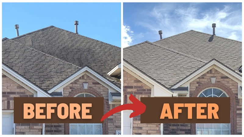 Roof Soft Washing Before and After